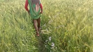 Indian Village Bhabhi Fucking Outdoor Sex In Hindi Video