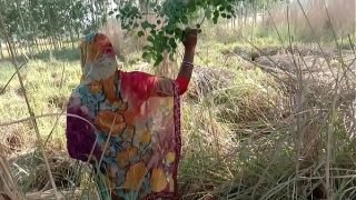 गेहूं के खेत मे सासुर जी ने जबरदस्ती चोद दिया Video