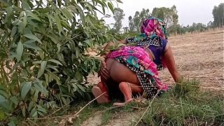 गेहूं का भूसा भरने गयी खेत और चुदवाने लगी Video
